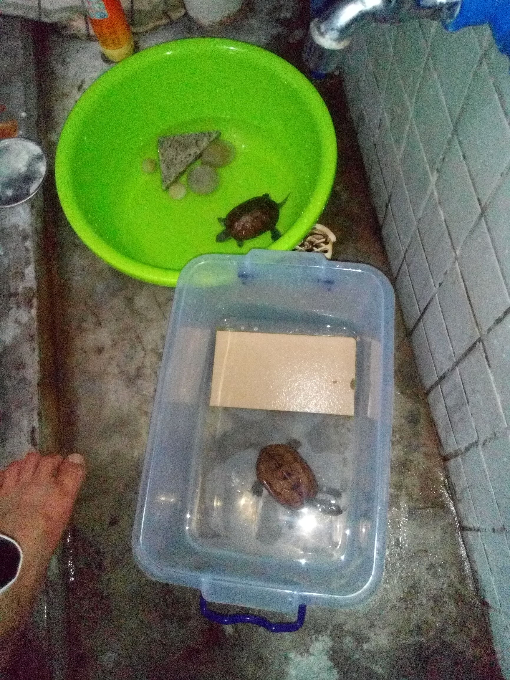 android开发培训教程推荐,android小白的自学课程