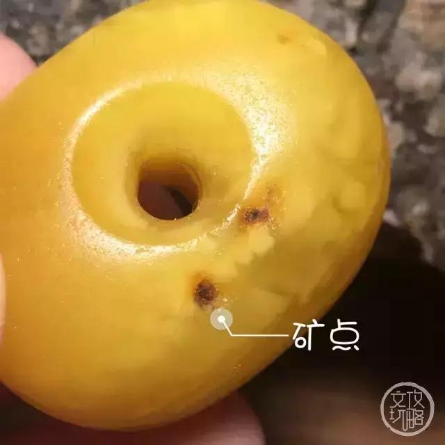 老蜡有什么缺点,老蜡有灵性吗