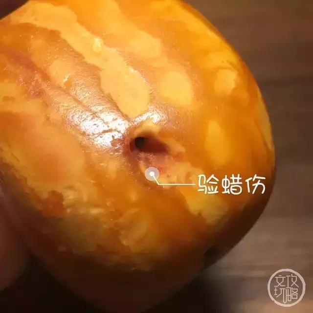 老蜡有什么缺点,老蜡有灵性吗