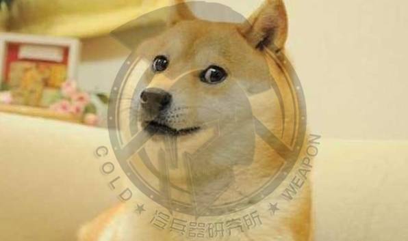 正面对抗熊的武器,什么武器能对抗熊