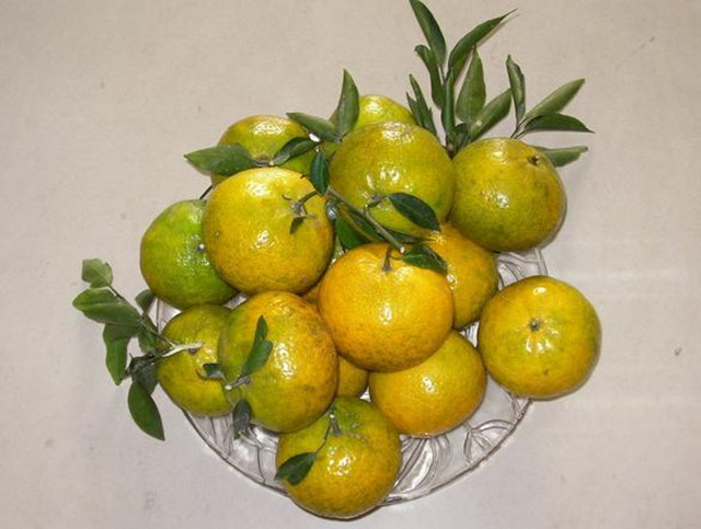 脾胃虚弱吃中药后胃隐痛,吃了补品肚子有点痛