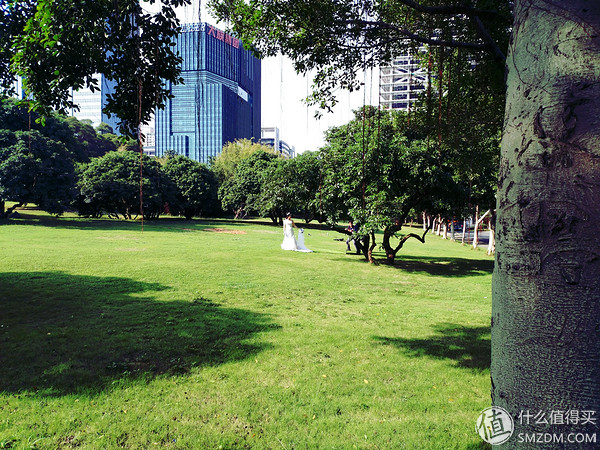 小米Es55和s55的区别,小米55系列评测