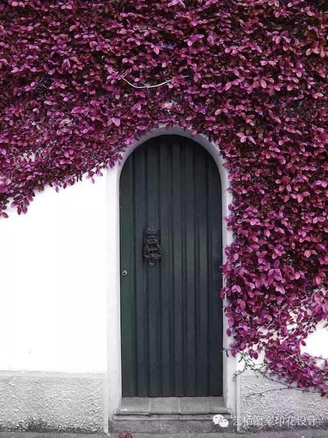 五花八门在哪里,真正的五花八门在哪里