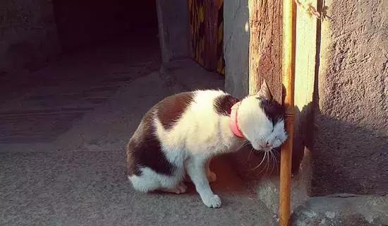 网球上旋球难回击,网球上旋球发全力不出界