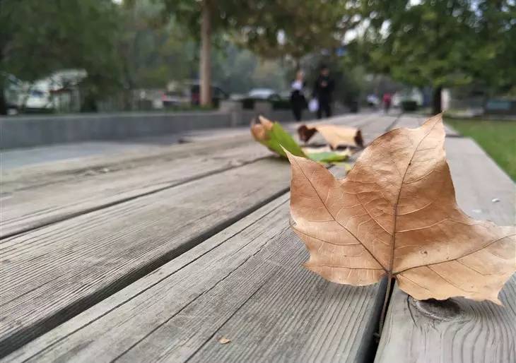 oppor9s值得买吗,oppor9s好用吗