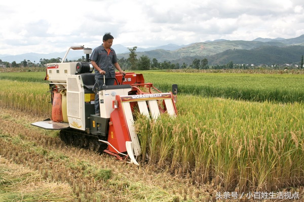 农村的十种最赚钱的小生意,农村致富的10个门路