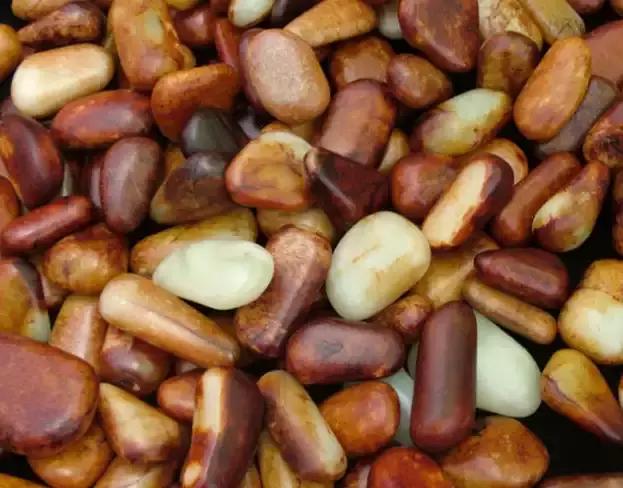 真玉养人假玉害人为什么,假玉也可以养人吗