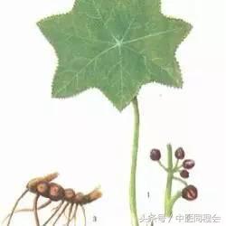 万圣节|看中医怎么与“鬼”混