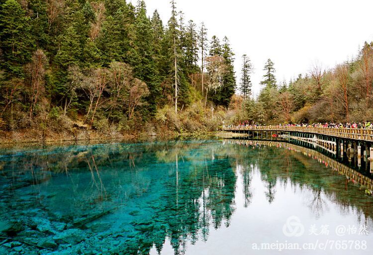 九寨沟让人失语的美丽童话世界,九寨沟有没有童话世界的景点