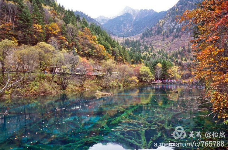 九寨沟让人失语的美丽童话世界,九寨沟有没有童话世界的景点