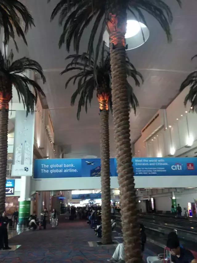 欧亚三大机场两大航空体验