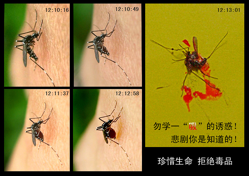 梅爹科普：吸毒导致死亡的主要原因是这三个