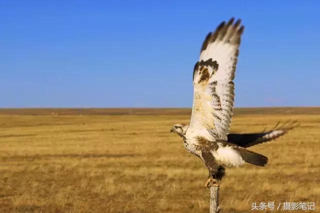 10月摄影笔记照片点评合集