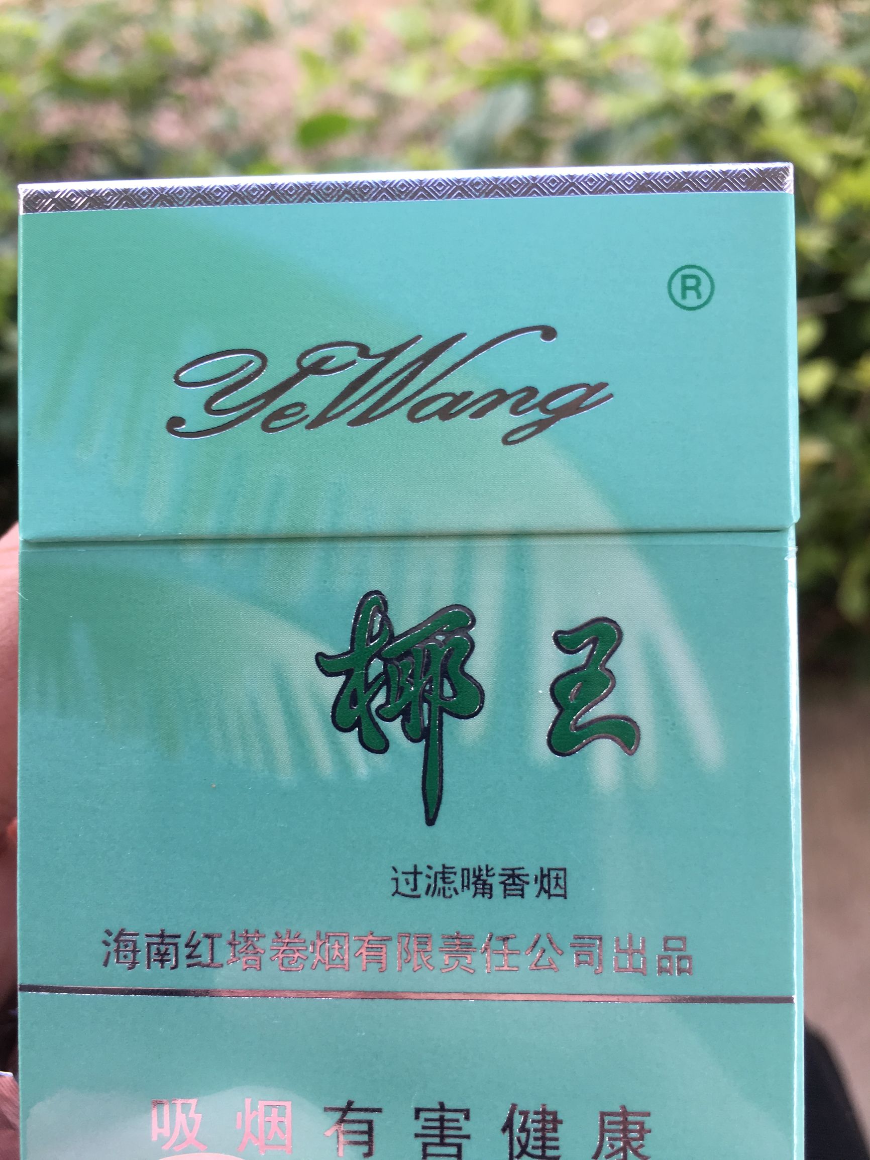 三亚一个来了就不想再来的城市,三亚来了就不想走的城市