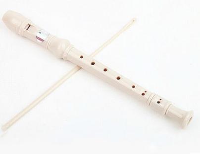 最好学习的小乐器,中老年学习什么乐器比较好学