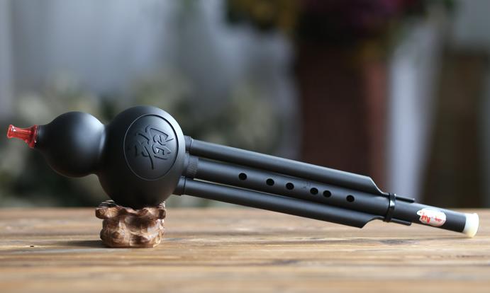 最好学习的小乐器,中老年学习什么乐器比较好学