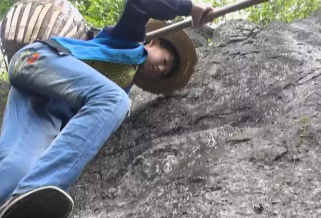 六十五年前那个给毛主席献花的小姑娘,为何在央视舞台上转身落泪