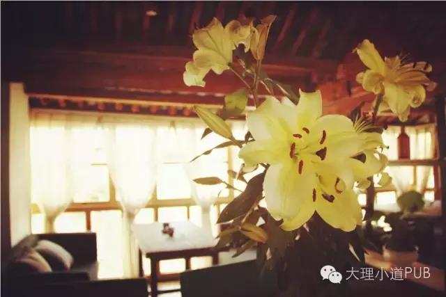 搜店|小道PUB大理谋生,小道谋爱,与好音乐不期而遇