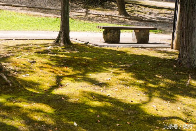 酷ma萌陪伴机器人熊本熊,酷ma萌和熊本熊