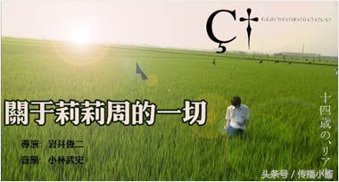 安利电影全集完整版,十部顶级冷门青春电影