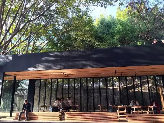 最新厦门哪里最好玩,厦门最有特色的地方