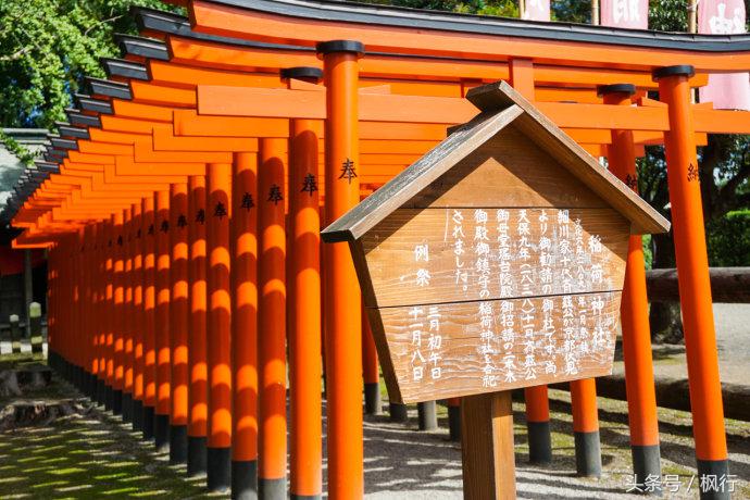 酷ma萌陪伴机器人熊本熊,酷ma萌和熊本熊