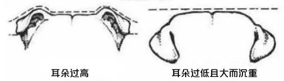 一梦谈狗:这些都不知道,别告诉我你喜欢英国斗牛犬……