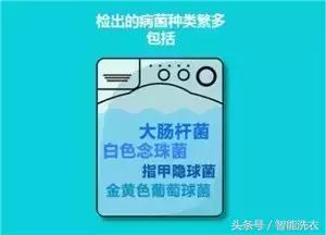 别小看洗衣机，它的秘密在你意料之外