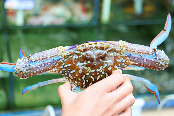 三亚最美的地方在哪里,三亚世界上最美的海在哪里