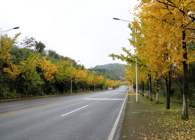 印象武隆属于什么档次,重庆旅行攻略观夜景