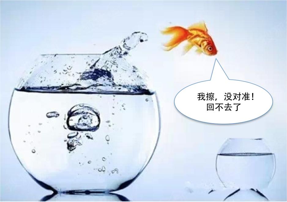 你是如何被“跳出舒适区”毁掉的？