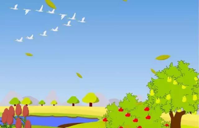 三年级写作文美丽的秋天,我爱美丽的秋天三年级作文