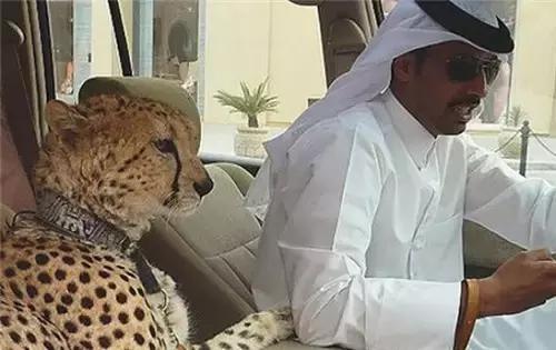 迪拜自由行落地签证所需材料,迪拜落地签与旅游签区别