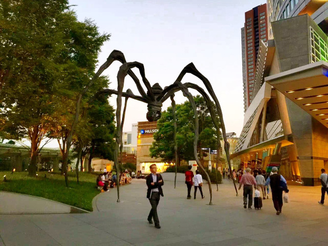 初秋日本快步东京，慢行北海道，泡汤美食8日