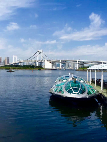 初秋日本快步东京，慢行北海道，泡汤美食8日