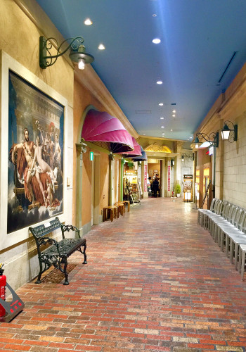 初秋日本快步东京，慢行北海道，泡汤美食8日