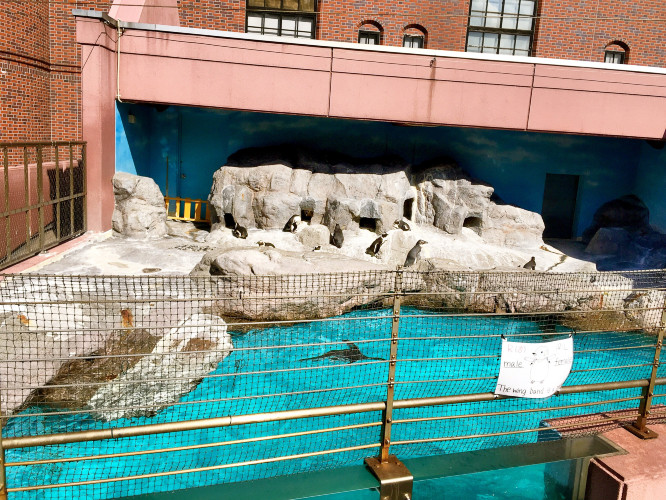 初秋日本快步东京，慢行北海道，泡汤美食8日