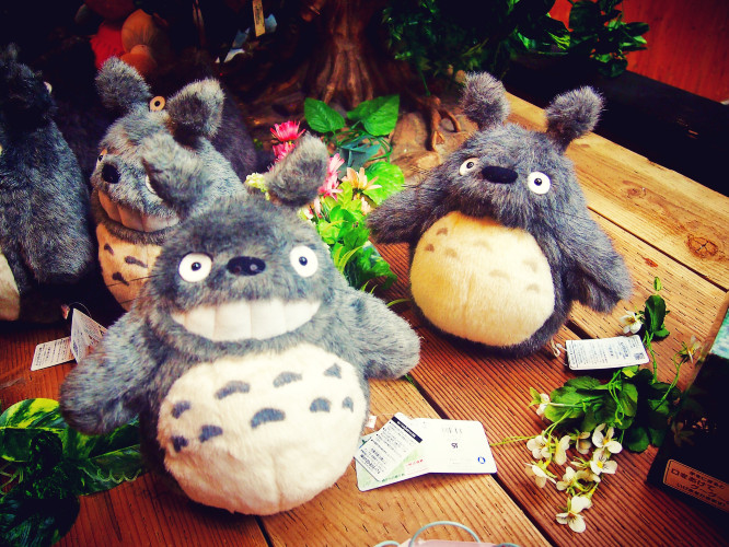 初秋日本快步东京，慢行北海道，泡汤美食8日