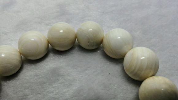 砗磲的基本知识,正确保养砗磲的方法