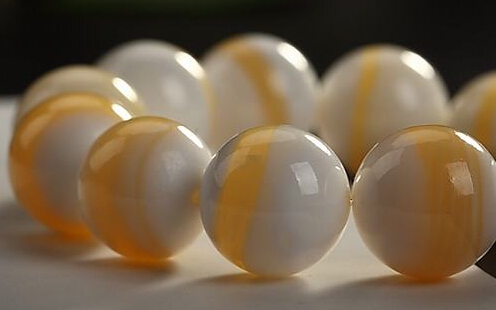 砗磲的基本知识,正确保养砗磲的方法