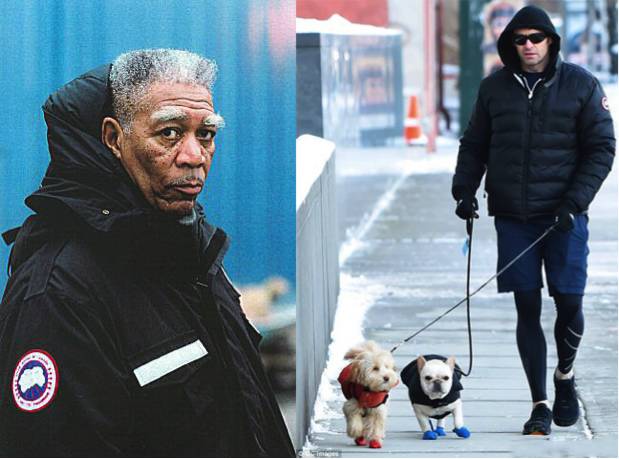 普京深蓝色大衣,普京的大衣