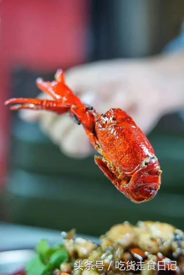 这家店的小龙虾百吃不厌,小龙虾选十三香还是油焖