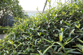 佳能16-35mmF2.8III镜头评测：9年换代值得等