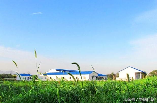 门头沟古村野鹅自驾,什么是野鹅自驾