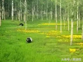 贾丹君作品欣赏,贾丹君小说