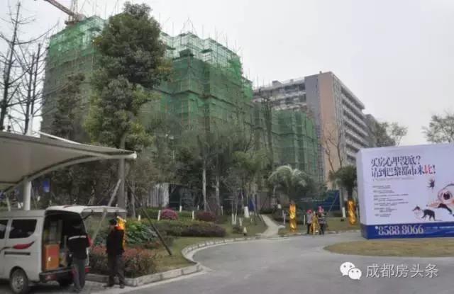 成都双流机场飞机噪音影响区域,郑州航空港受飞机噪音影响吗