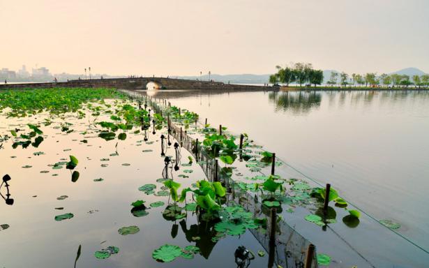 十大拍婚纱照地点冬季,最适合拍婚纱照的地方