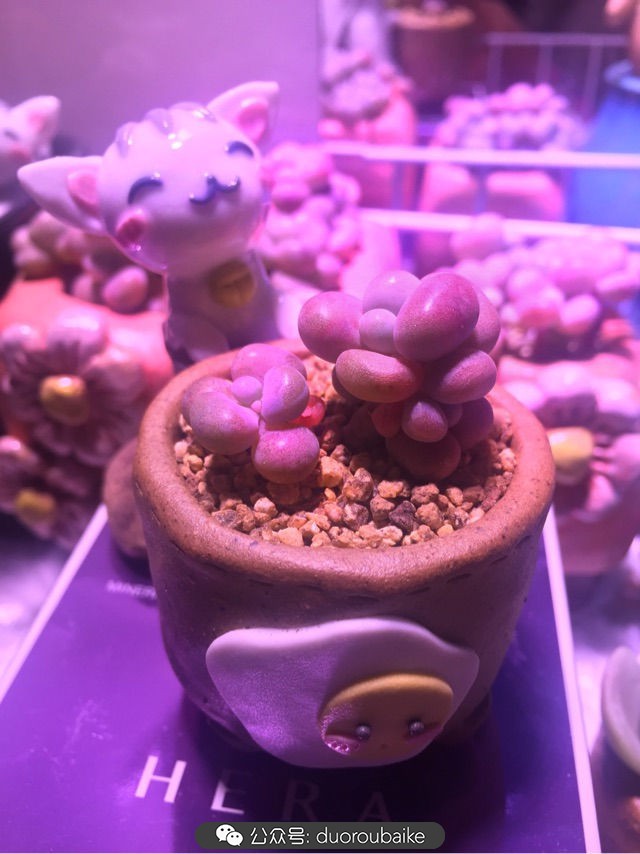 谈谈我对自己的看法,谈谈我对恋爱的看法