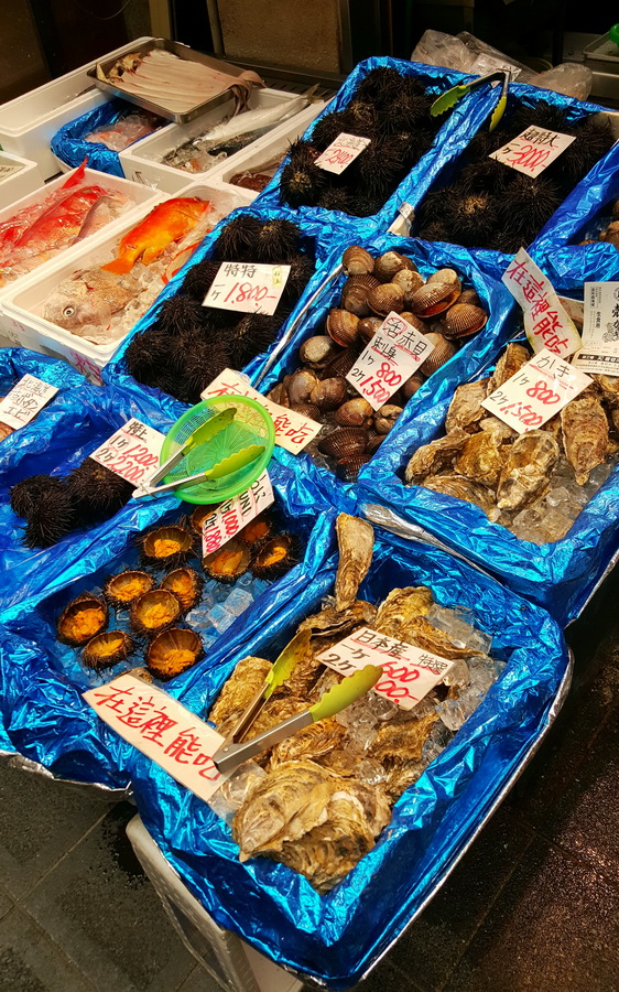 不得不去的景点大全,不得不去的城市