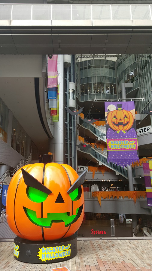 不得不去的景点大全,不得不去的城市